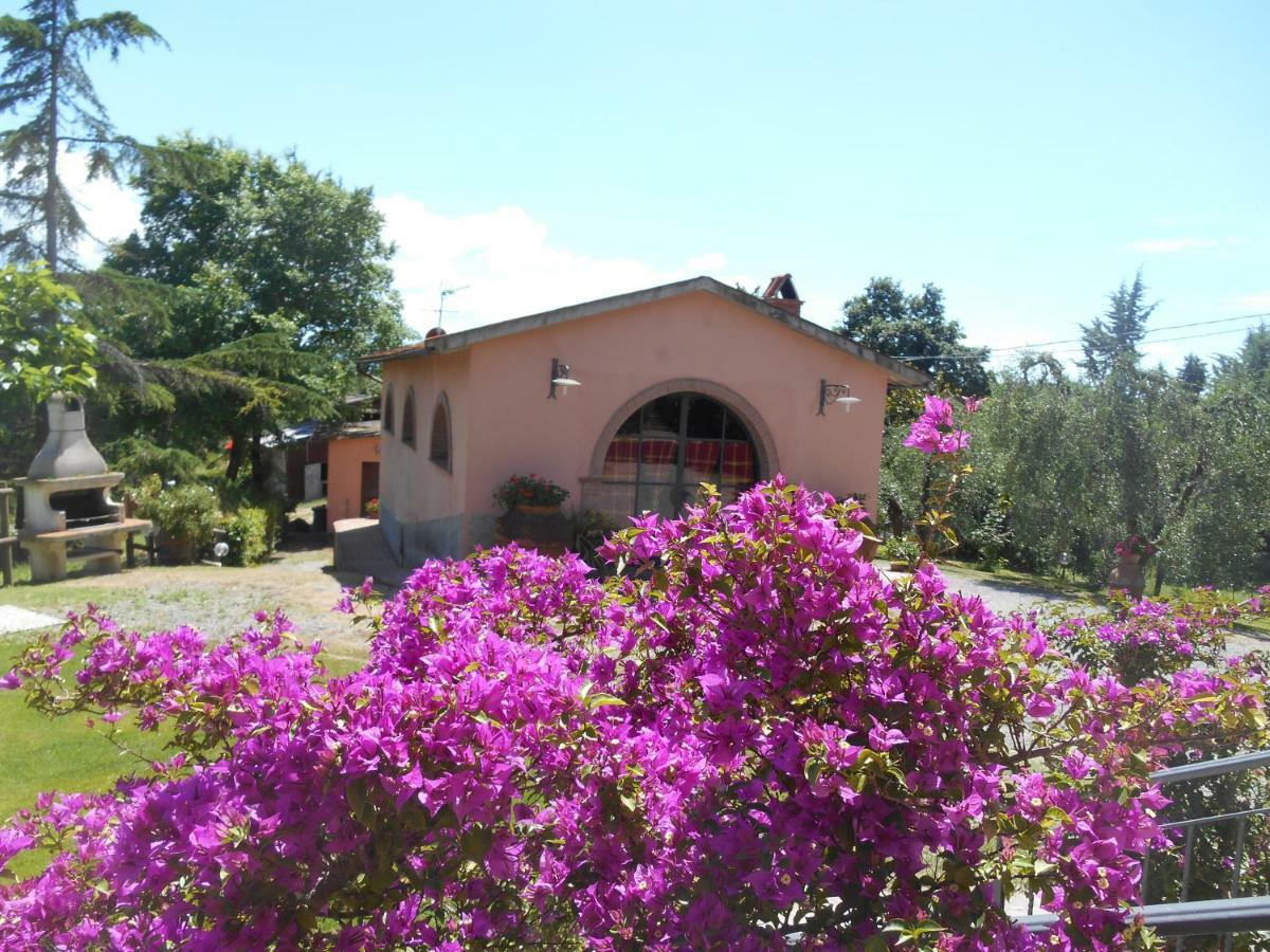 Agriturismo Il Loghino Palaia Exterior foto