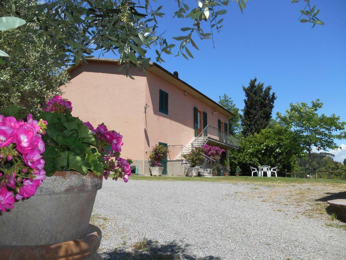 Agriturismo Il Loghino Palaia Exterior foto