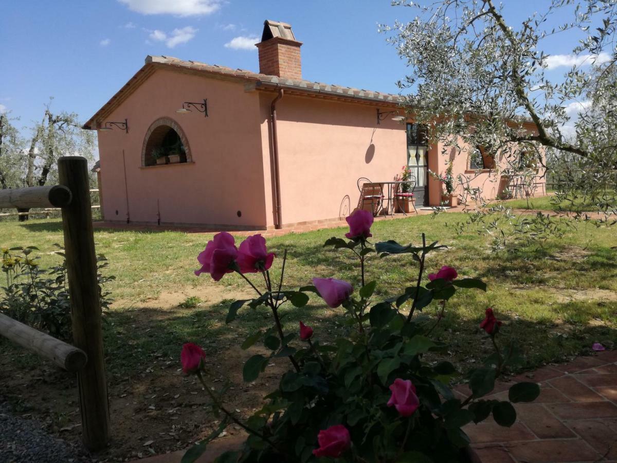 Agriturismo Il Loghino Palaia Exterior foto