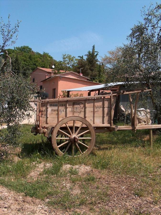 Agriturismo Il Loghino Palaia Exterior foto