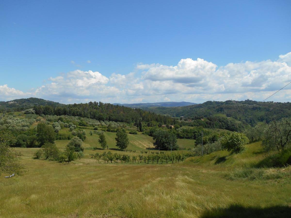 Agriturismo Il Loghino Palaia Exterior foto